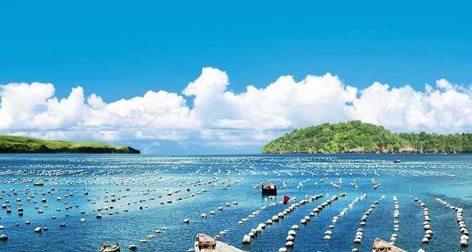 百洋水產產業(yè)投資集團面經：怎么樣看待離職又回歸？