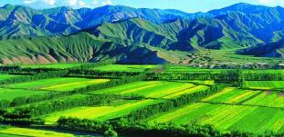 廣西農(nóng)村投資集團(tuán)待遇怎么樣？廣西農(nóng)業(yè)信貸擔(dān)保公司工資多少？中層如何？