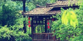 廣西廣投文化旅游公司梅以軍簡歷，廣西廣投文旅和廣西投資集團啥關系？